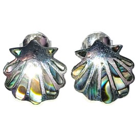 BRINCO ABALONE CONCHA COM TARRAXA EM PRATA 925 - ID 7147